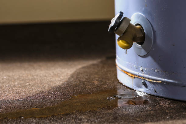 Best Local water damage restoration  in Sebastian, FL