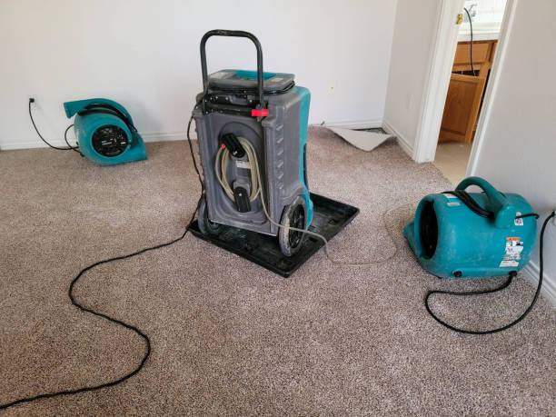 Best Residential water damage restoration  in Sebastian, FL