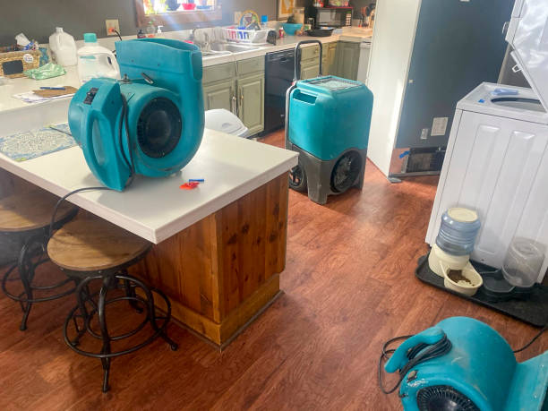 Reliable Sebastian, FL Water damage restoration Solutions