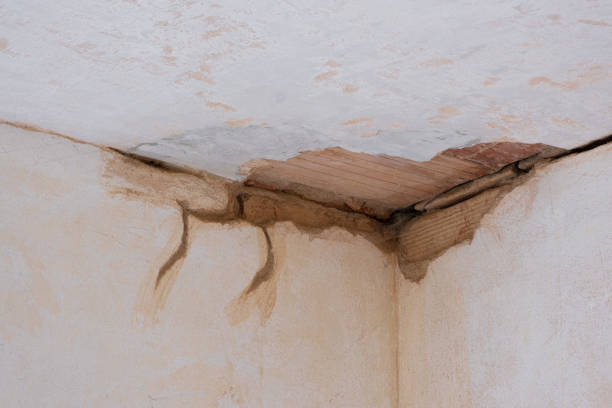 Best Water damage cleanup near me  in Sebastian, FL