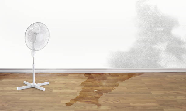 Best Sewage cleanup and water damage restoration  in Sebastian, FL