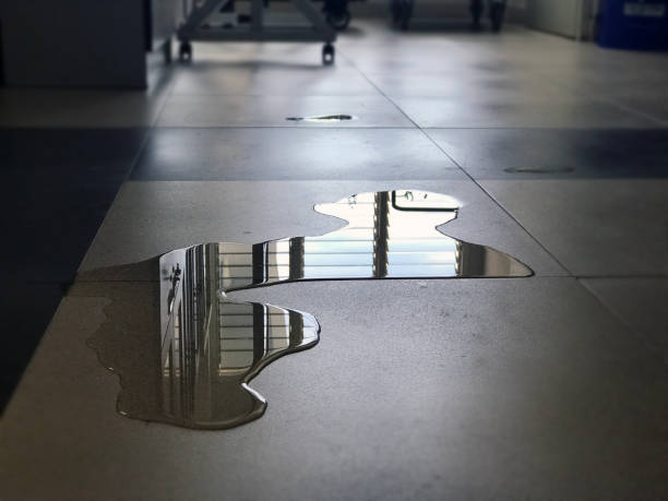 Best Commercial water damage restoration  in Sebastian, FL