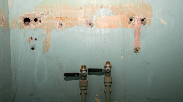 Best Basement water damage restoration  in Sebastian, FL