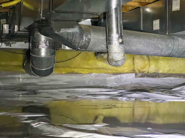 Best Flood damage cleanup  in Sebastian, FL