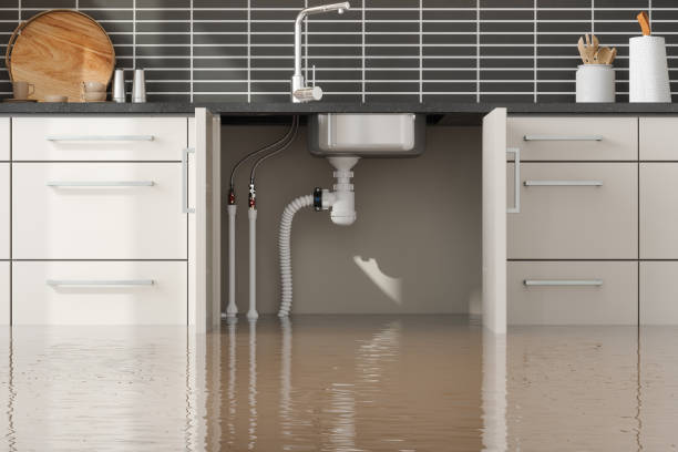 Best Water damage contractors near me  in Sebastian, FL