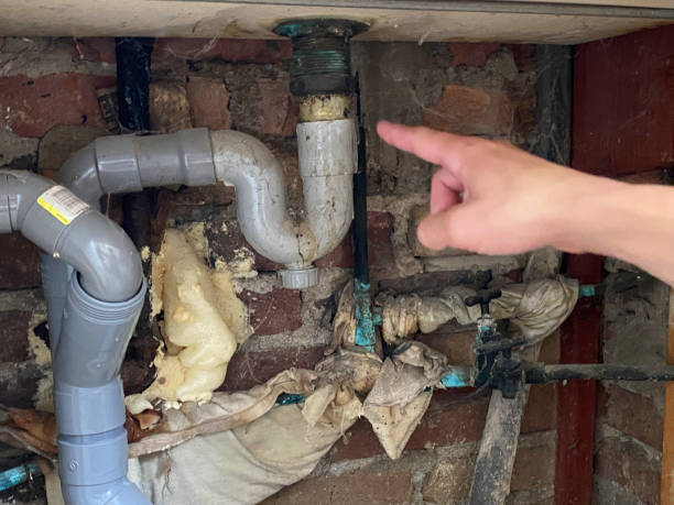 Best Water damage restoration company  in Sebastian, FL