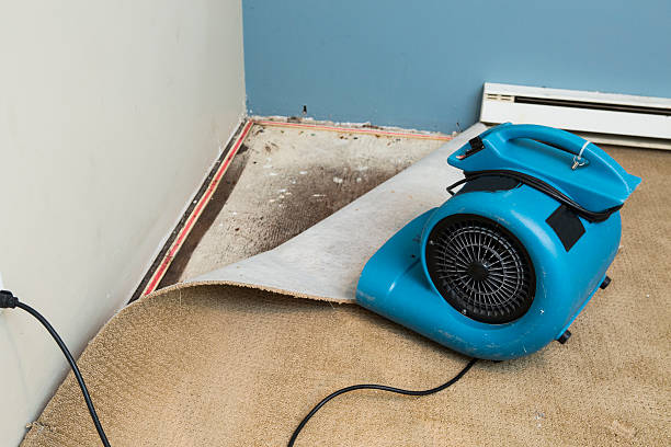  Sebastian, FL Water damage restoration Pros